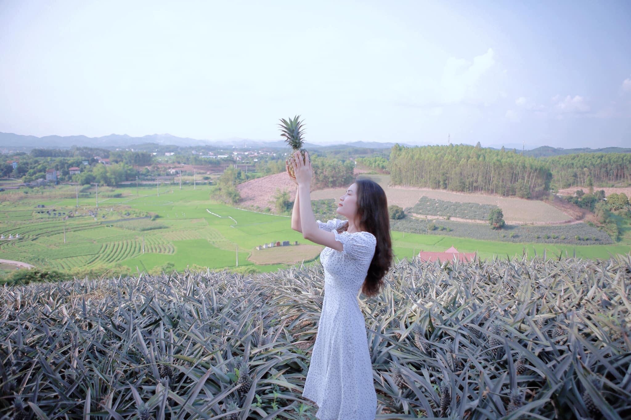 Hương Sơn- Vùng đất lên hương 